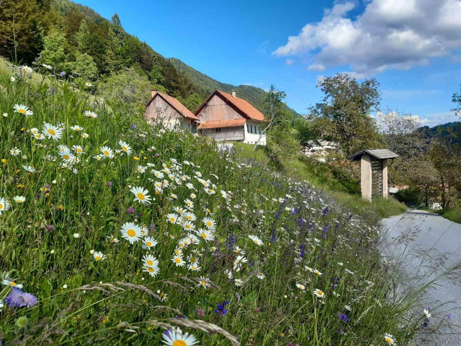 Miklavzeva Hisa With A Bread Oven Villa Zelezniki Luaran gambar